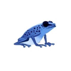 Blue Dart Frog